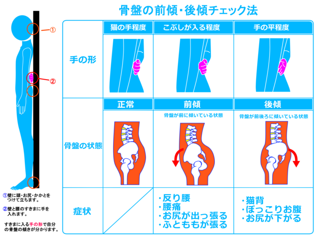 姿勢チェック図解