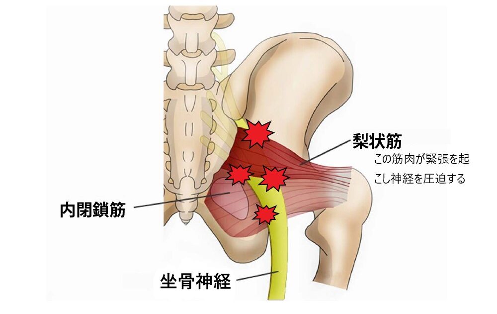 部位